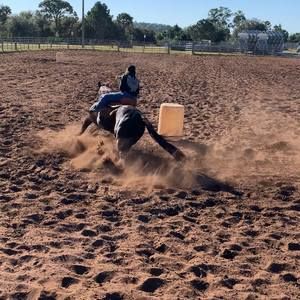 Meet your Posher, Grace